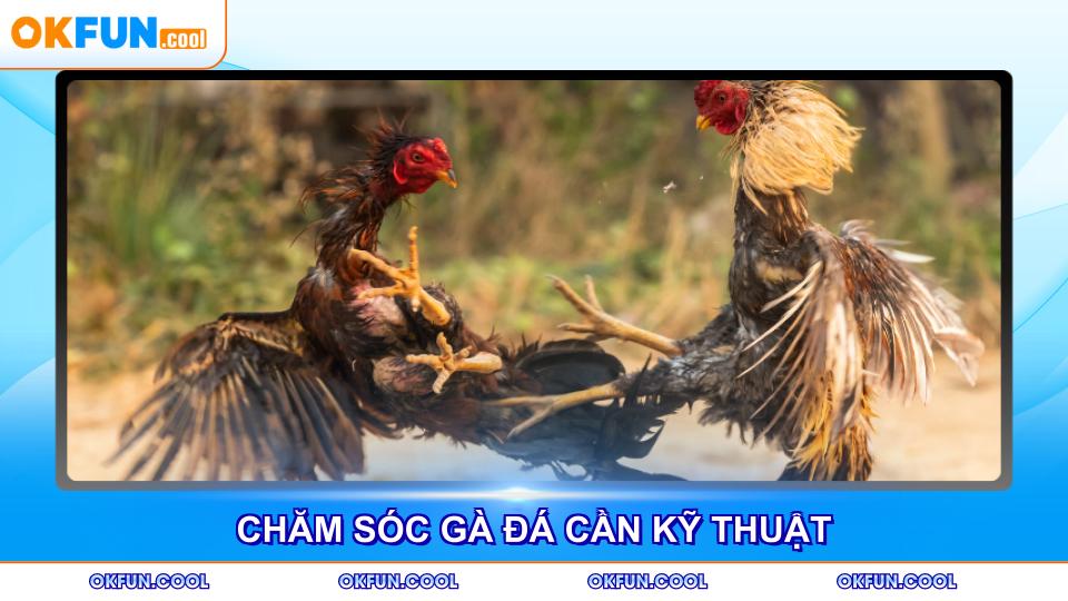 cham-soc-ga-da-can-ky-thuat