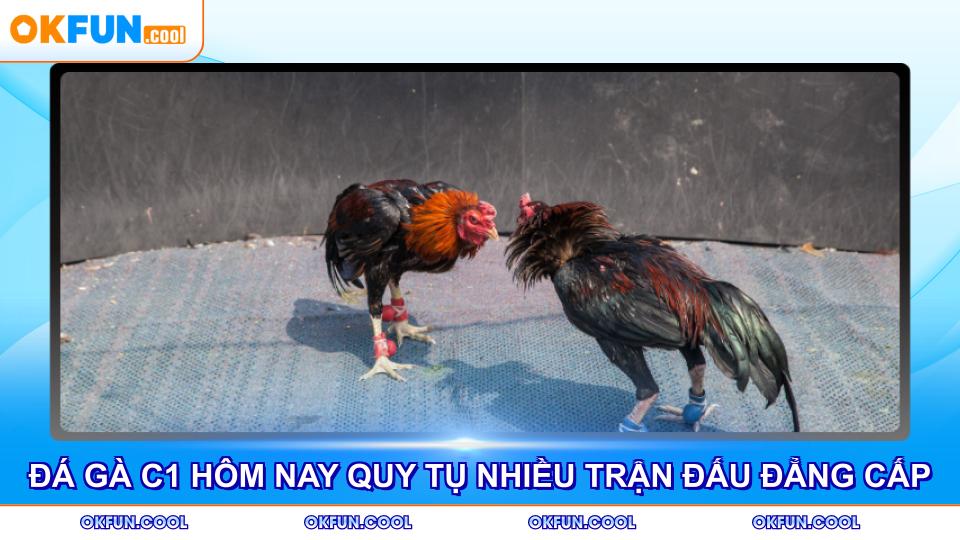 da-ga-c1-hom-nay-quy-tu-nhieu-tran-dau-dang-cap