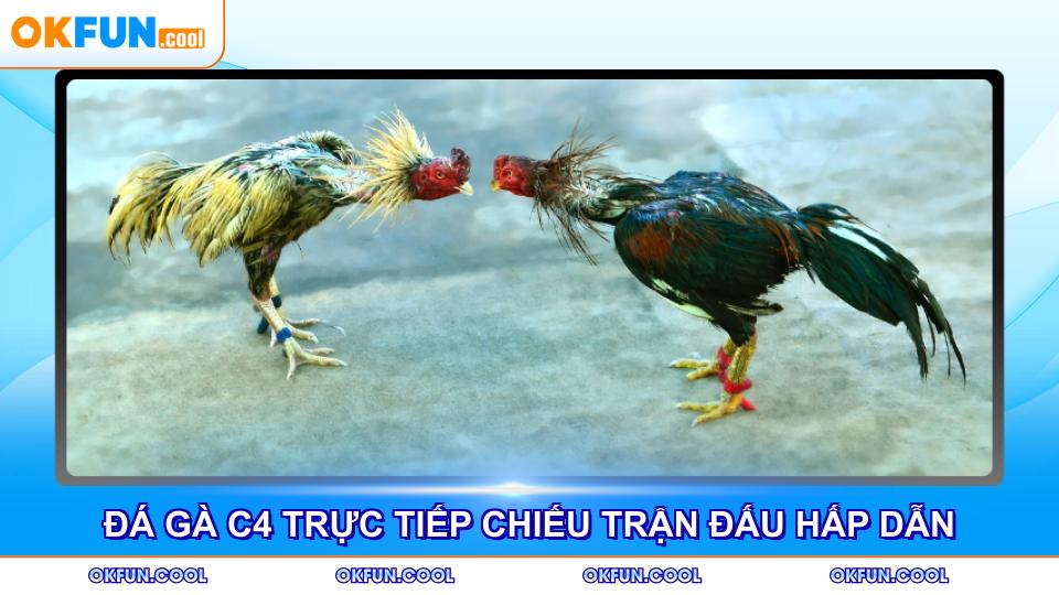 da-ga-c4-truc-tiep-chieu-tran-dau-hap-dan