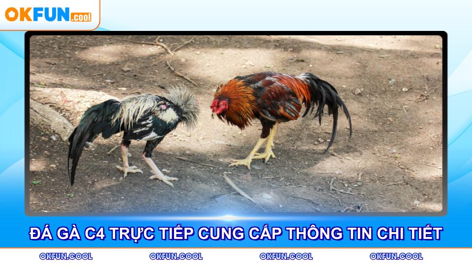 da-ga-c4-truc-tiep-cung-cap-thong-tin-chi-tiet