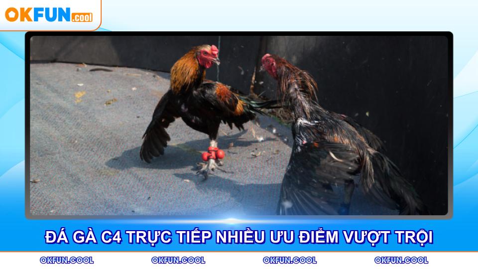 da-ga-c4-truc-tiep-nhieu-uu-diem-vuot-troi