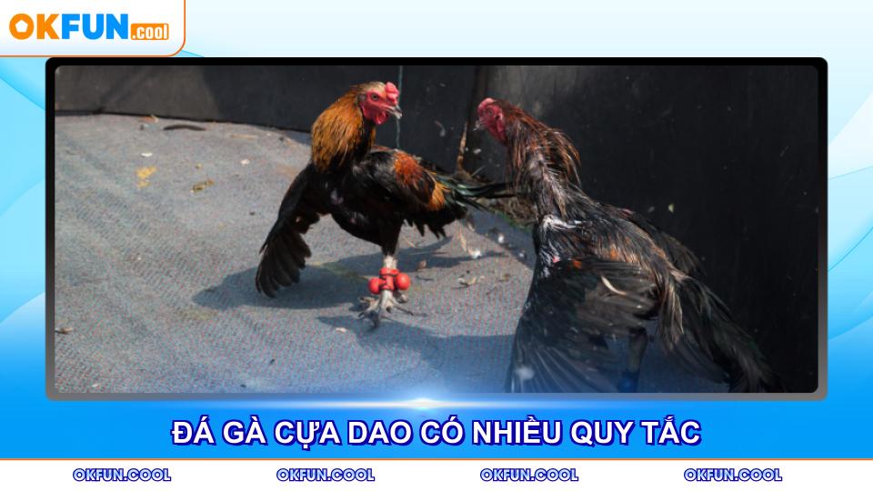 da-ga-cua-dao-co-nhieu-quy-tac