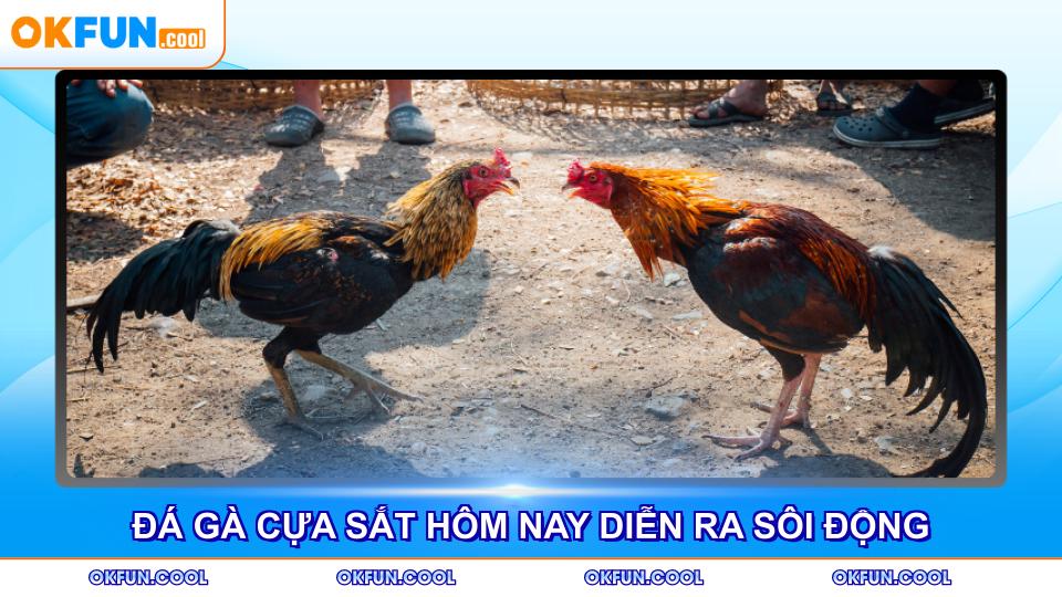 da-ga-cua-sat-hom-nay-dien-ra-soi-dong