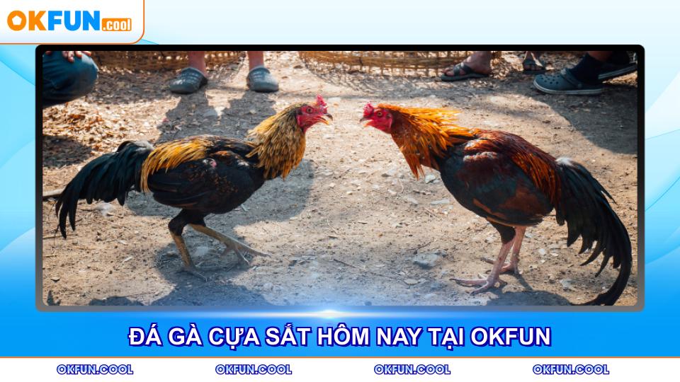 da-ga-cua-sat-hom-nay-tai-okfun