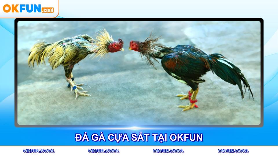 da-ga-cua-sat-tai-okfun