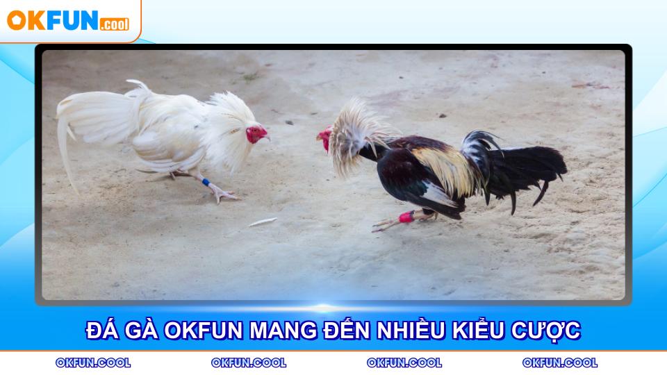 Đá gà OKFUN cung cấp đa dạng trải nghiệm cược hấp dẫn