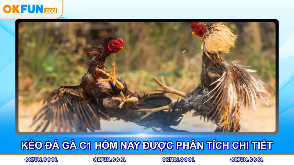 keo-da-ga-c1-hom-nay-duoc-phan-tich-chi-tiet