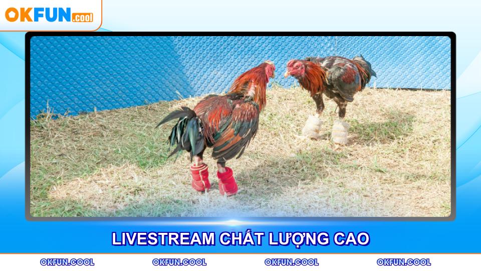 livestream-chat-luong-cao
