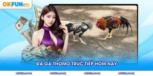 đá gà thomo trực tiếp hôm nay